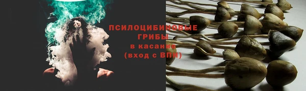 прущая мука Балахна