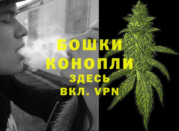 крисы Балабаново